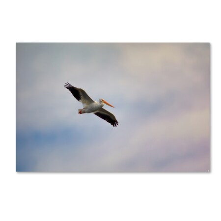 Trademark Fine Art Jai Johnson 'A Beautiful Day To Fly' Canvas Art, 22x32 ALI13770-C2232GG